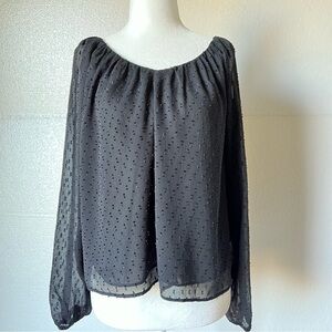 Ann Taylor Black Sheer Blouse with Lining